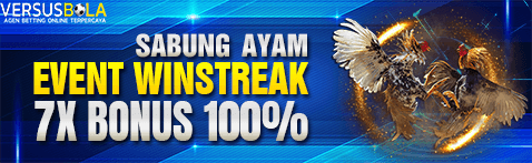 VersusBola Bonus Win Streak Sabung Ayam